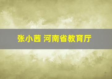 张小茜 河南省教育厅